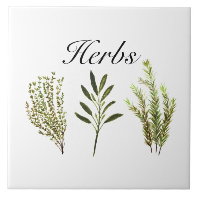 Wasserfarbkraut Thyme Rosemary Sage Pflanze Pot Fliese (Vorderseite)