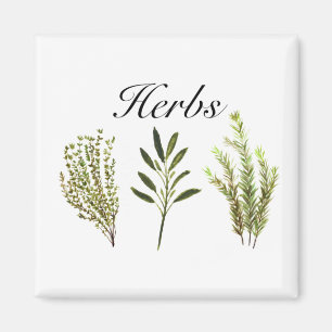 Wasserfarbkraut Thyme Rosemary Sage Pflanze Pot Magnet