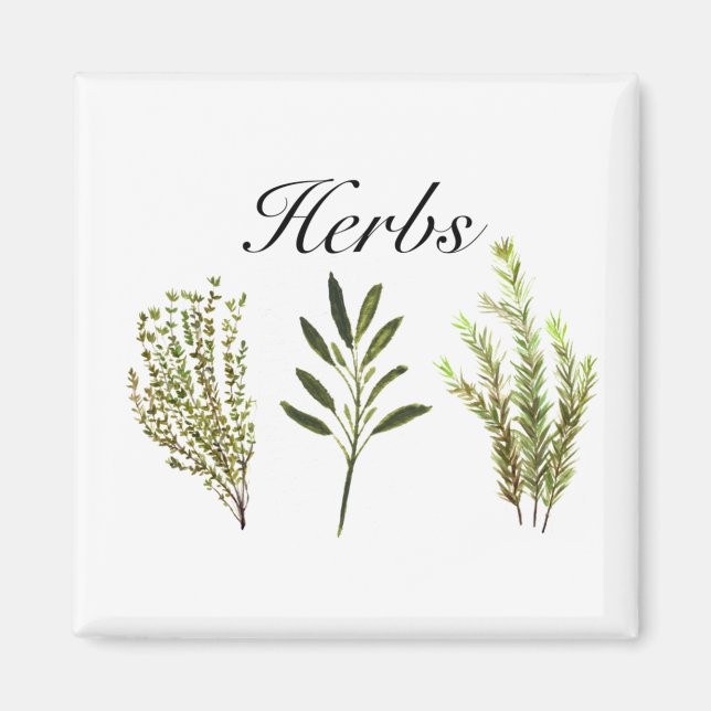 Wasserfarbkraut Thyme Rosemary Sage Pflanze Pot Magnet (Vorne)