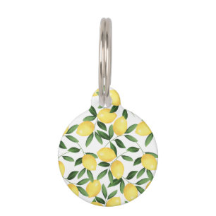 WASSERFARBLETTEN HAUSTIERMARKE