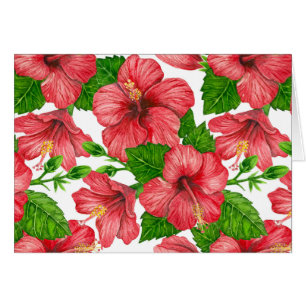 Wasserfarbmuster des roten Hibiskus