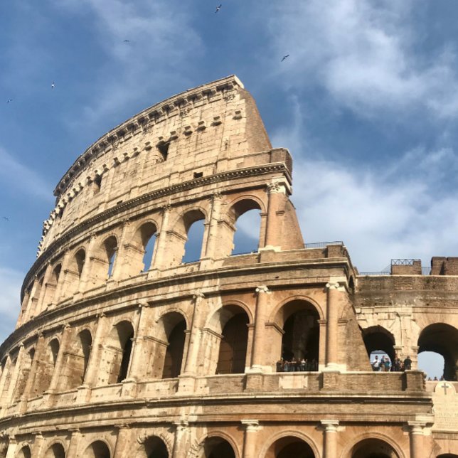 Wasserflasche für Reisen Edelstahlflasche (Von Creator hochgeladen)