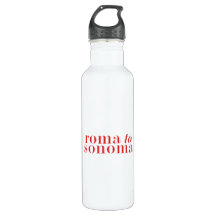 Wasserflasche für Reisen