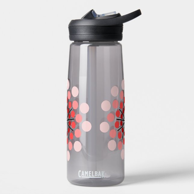 Wasserflasche Trinkflasche (Links)