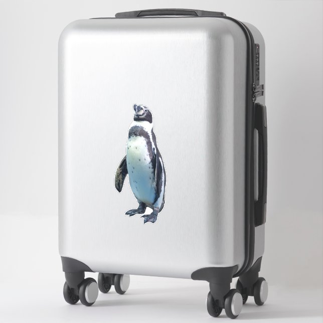 Wasserfliegenloser Vogel Pinguin Aufkleber (Koffer)