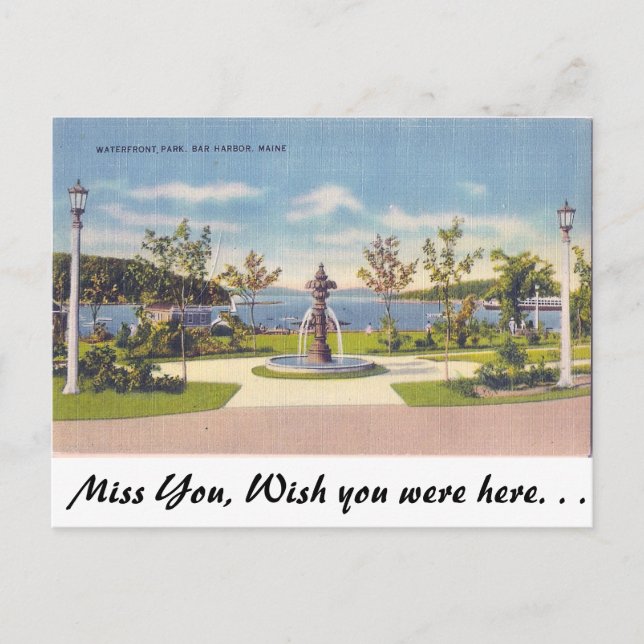 Wasserfront, Bar Hafen, Maine Postkarte (Vorderseite)