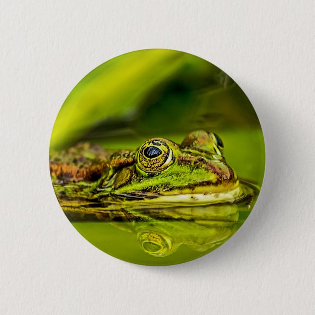 Wasserfrosch Button (Vorderseite)
