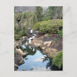 Wassergarten Postkarte