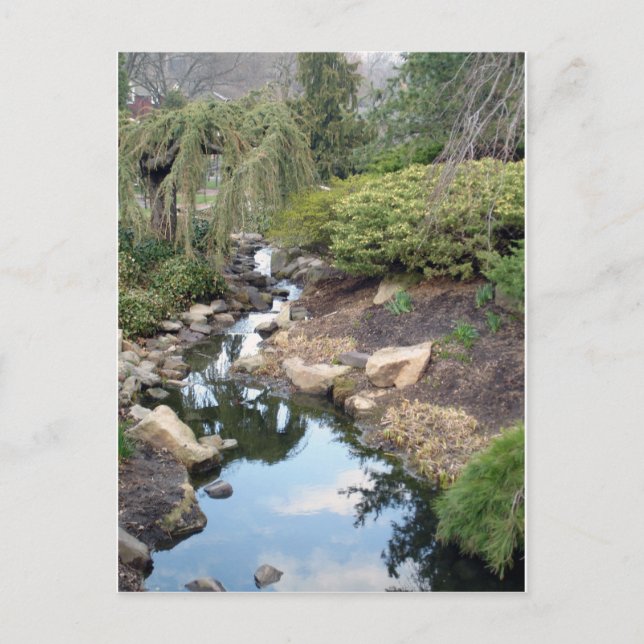Wassergarten Postkarte (Vorderseite)