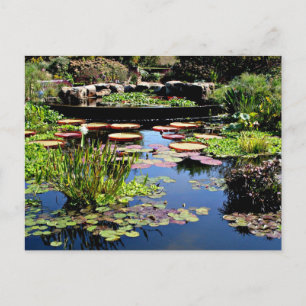 Wassergarten Postkarte