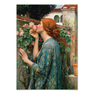 Wasserhaus Das Soul der Rose Print Fotodruck