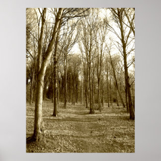 Wasserhäuser Holz Poster
