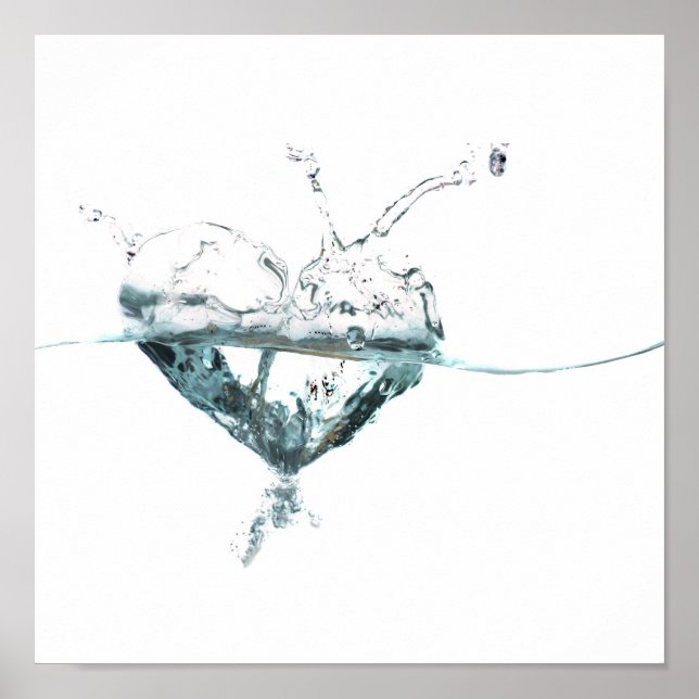 Wasserherd Poster (Vorne)