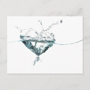 Wasserherd Postkarte
