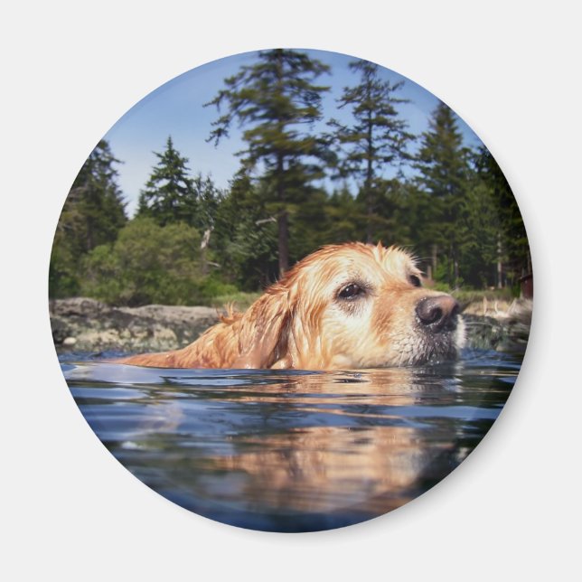 Wasserhund - MAgnet (Vorne)