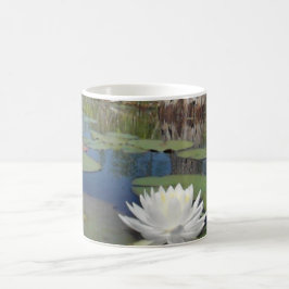 Wasserlilie 2 kaffeetasse