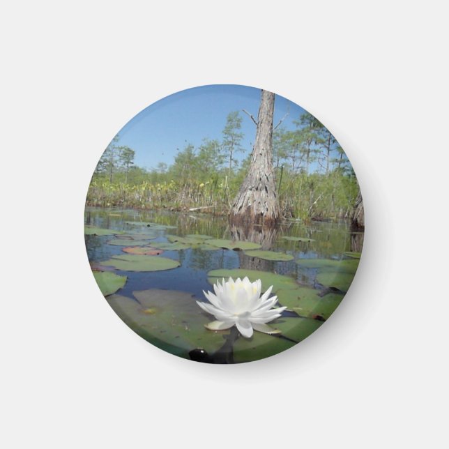 Wasserlilie 2 magnet (Vorne)