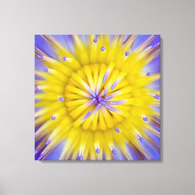 Wasserlilie Blume Leinwanddruck (Vorderseite)