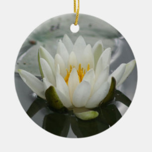 Wasserlilie Blume Ornament