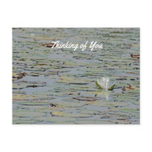 Wasserlilie Blume See Postkarte