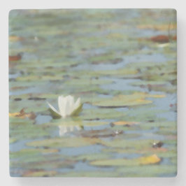 Wasserlilie Blume Watercolor Stone Untersetzer
