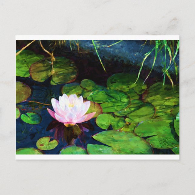 Wasserlilie, die in einem Teich schwimmt Postkarte (Vorderseite)
