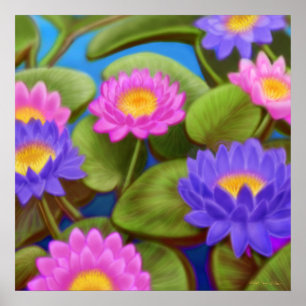 Wasserlilie-Garten-Plakat Poster