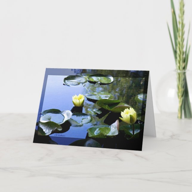 Wasserlilie gelb karte (Vorderseite)