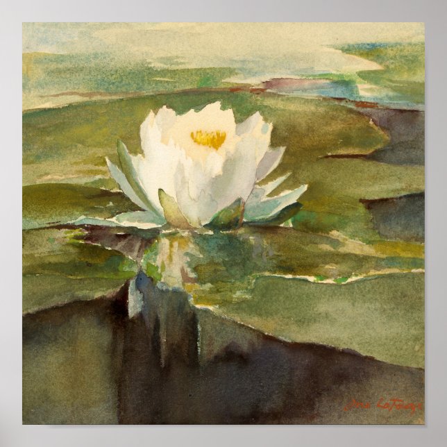 Wasserlilie im Sonnenlicht | John La Farge Poster (Vorne)