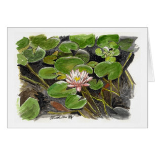 Wasserlilie in einem Teich