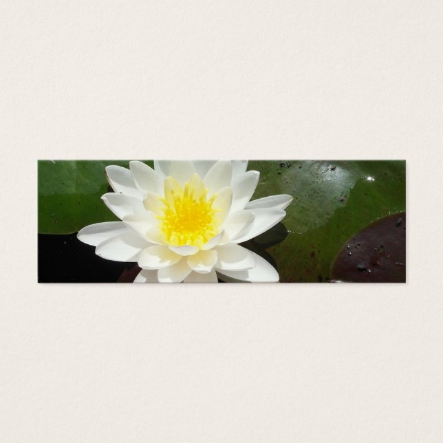 Wasserlilie Lesezeichen (Vorderseite)