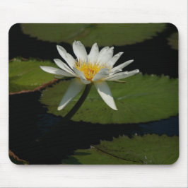 Wasserlilie Lippenstift Mouse Pad Mousepad