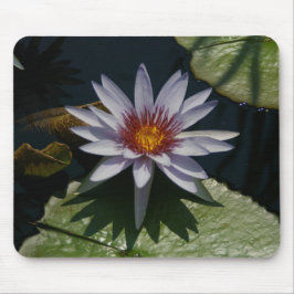Wasserlilie Lippenstift Mouse Pad Mousepad