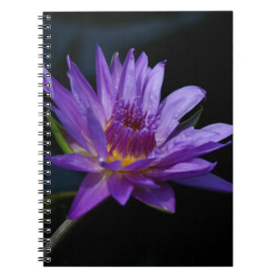Wasserlilie Lotus Notizblock