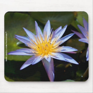 Wasserlilie Mousepad