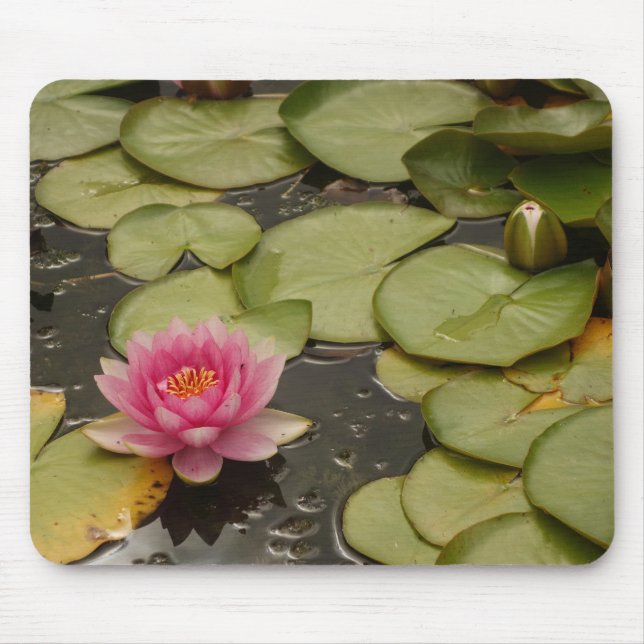 Wasserlilie Mousepad (Vorne)
