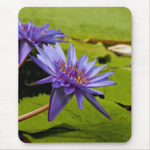 Wasserlilie Mousepad
