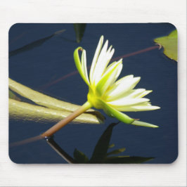 Wasserlilie Mousepad