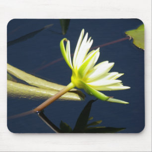 Wasserlilie Mousepad