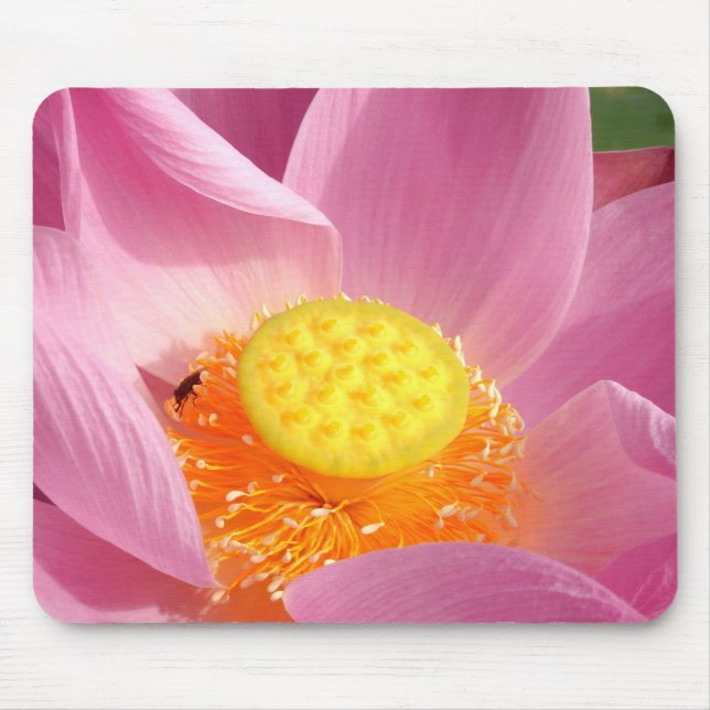 Wasserlilie Muse Mat Mousepad (Vorne)