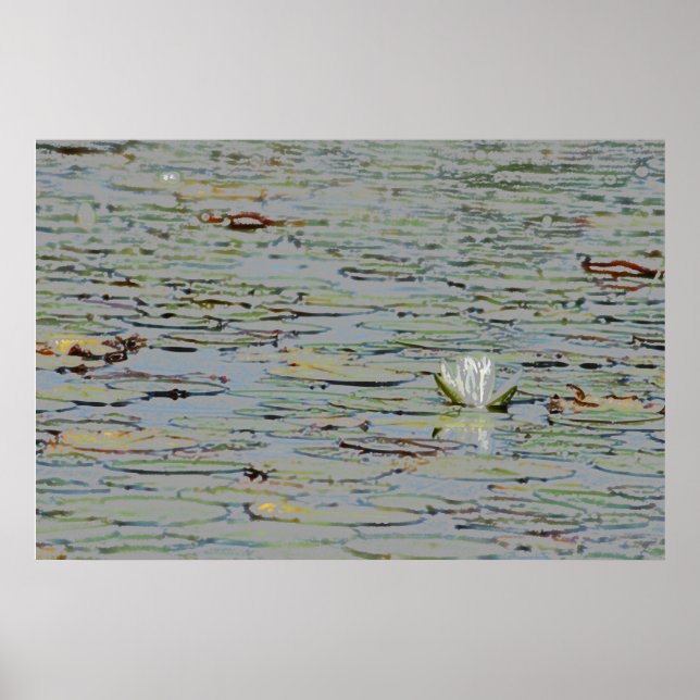 Wasserlilie Pond Blume I Poster (Vorne)