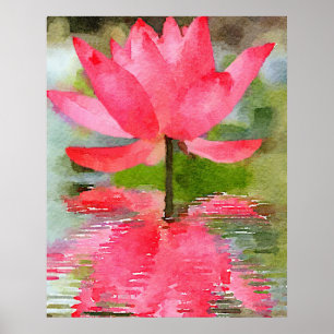 Wasserlilie Poster