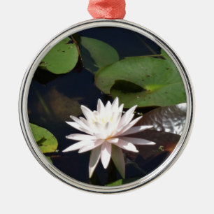 Wasserlilie Silbernes Ornament
