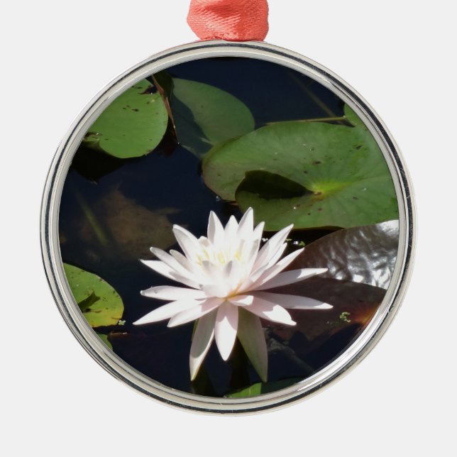 Wasserlilie Silbernes Ornament (Vorne)