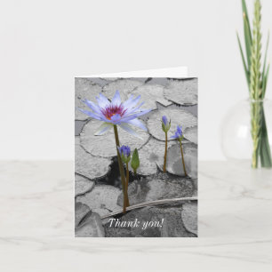 Wasserlilie Stehend Beauty Dankeskarte