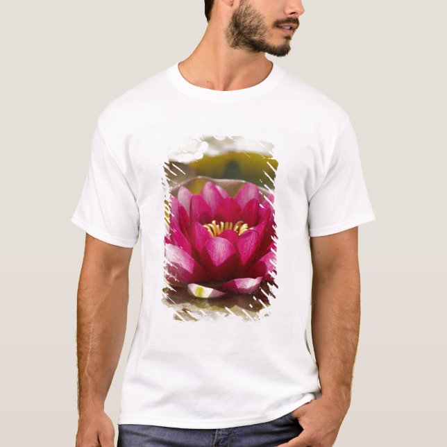 Wasserlilie T-Shirt (Vorderseite)