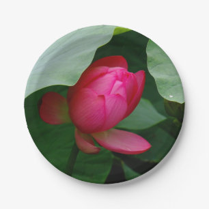 Wasserlilie Tiefe Rose Pappteller