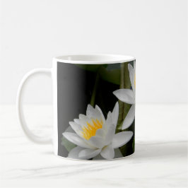 Wasserlilie Trio Tasse
