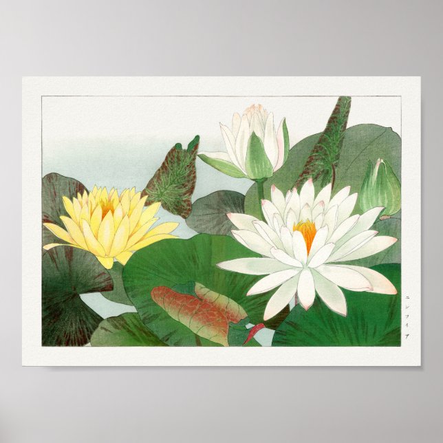 Wasserlilie von Tanigami Konan Poster (Vorne)