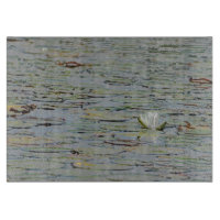 Wasserlilie Wildblume
